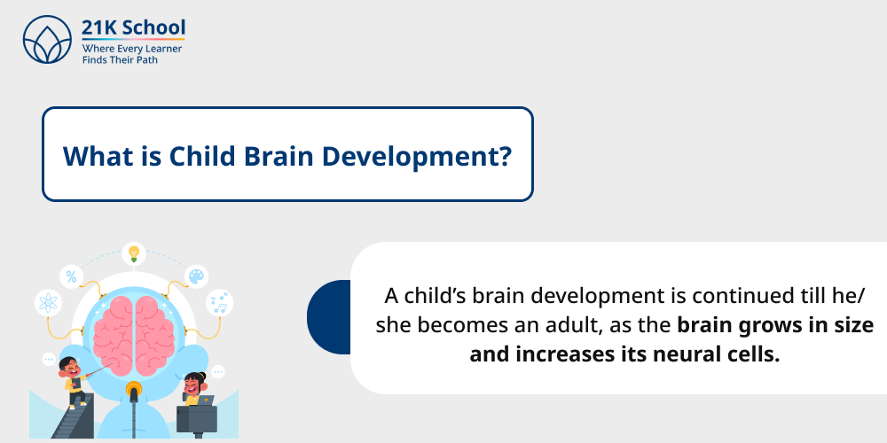 What is Child Brain Development?