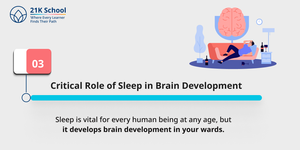 Critical Role of Sleep in Brain Development
