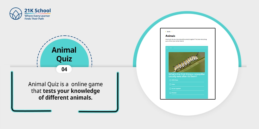 Animal Quiz