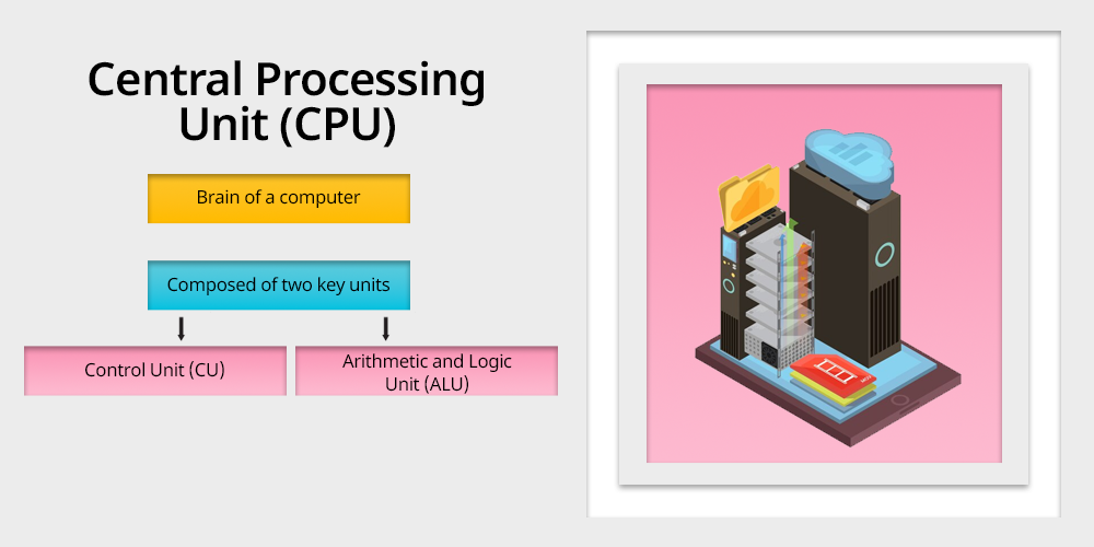 Central Processing Unit (CPU)