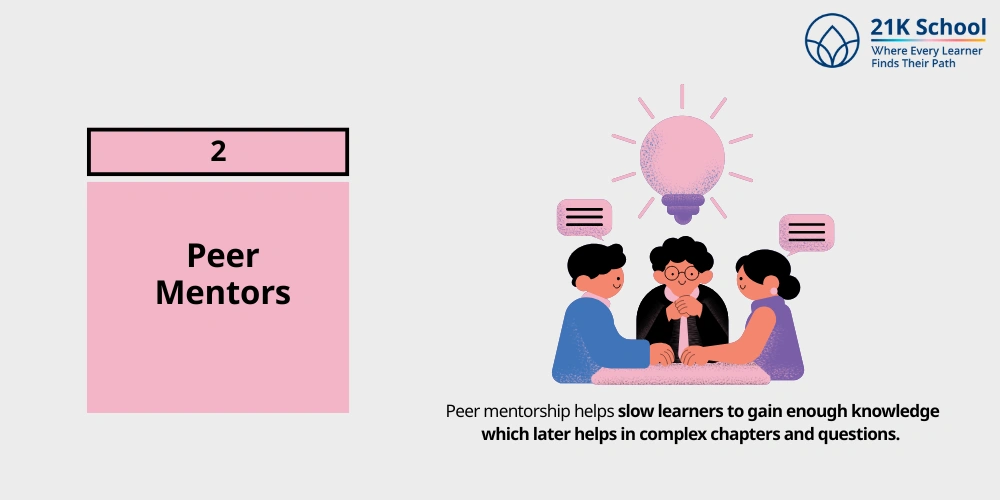  Peer Mentors