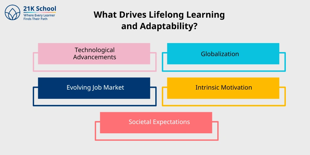 What Drives Lifelong Learning and Adaptability?