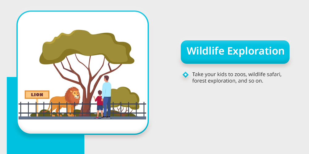 Wildlife Exploration