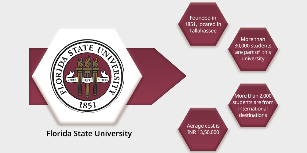 3. Florida State University