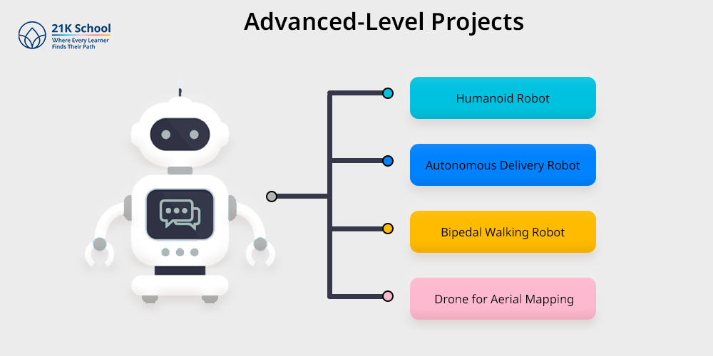 Advanced-Level Projects