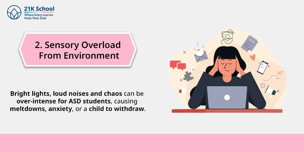 2. Sensory Overload From Environment