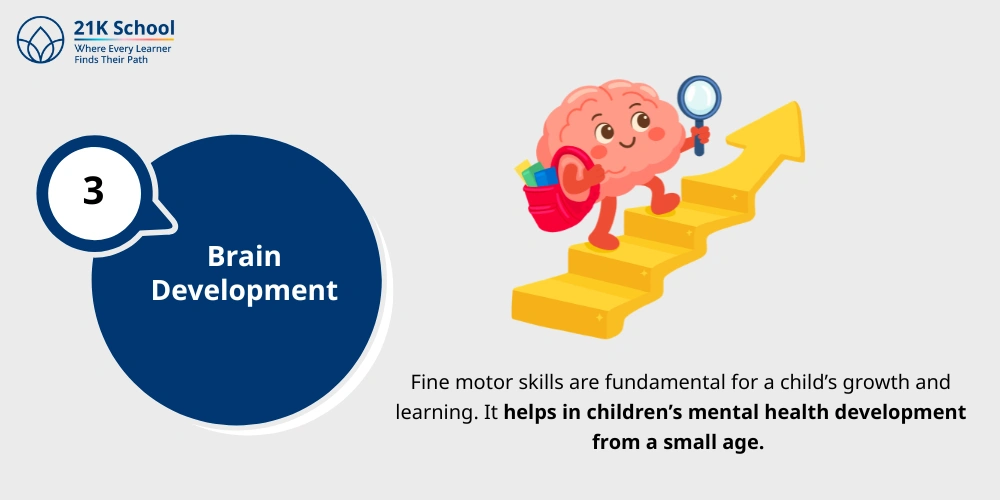Brain Development