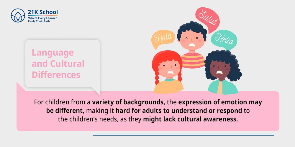 4. Language and Cultural Differences