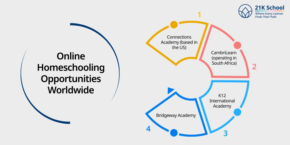 Online Homeschooling Opportunities Worldwide