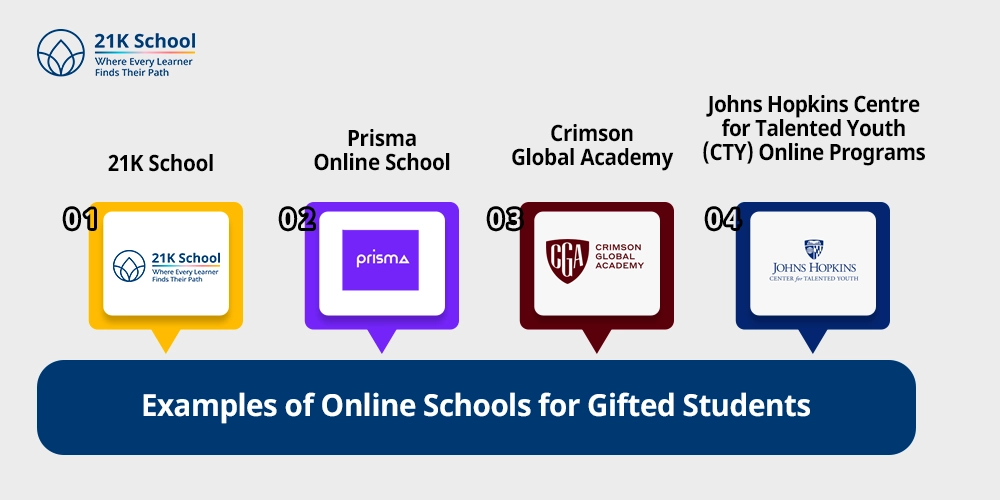 Examples of Online Schools for Gifted Students
