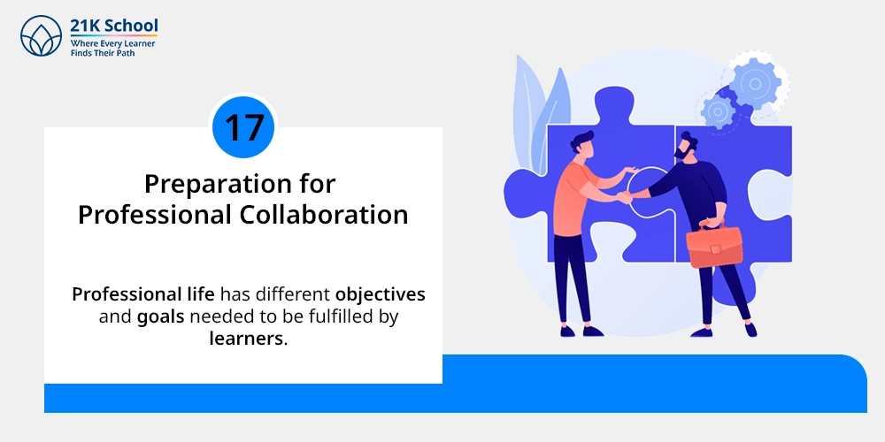 17. Preparation for Professional Collaboration