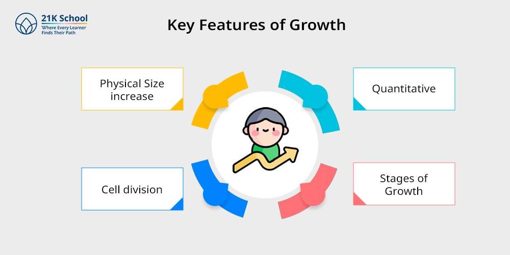  Key Features of Growth