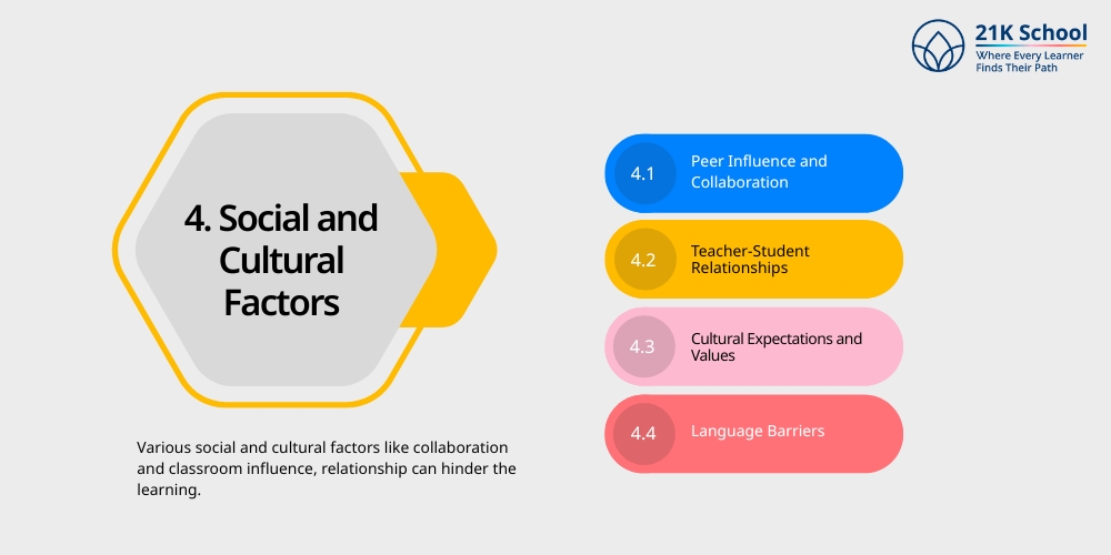 Social and Cultural Factors