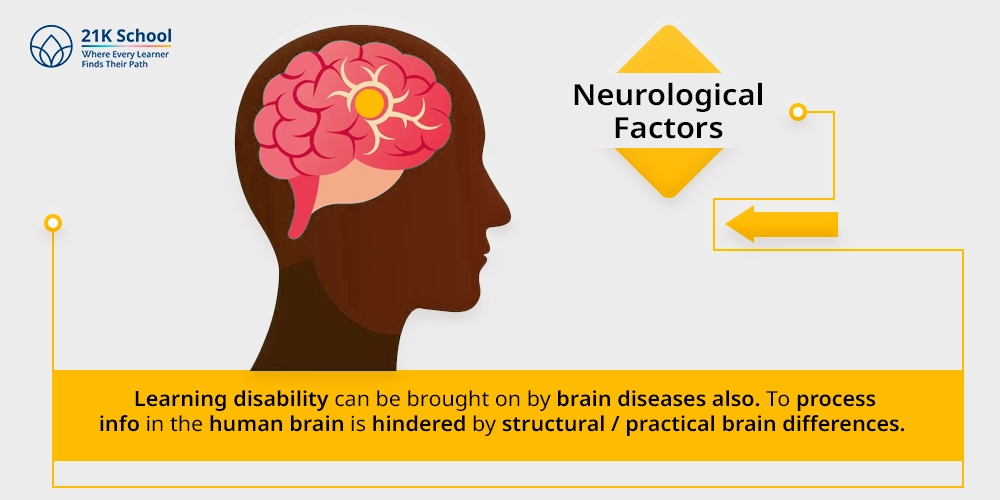 2. Neurological Factors