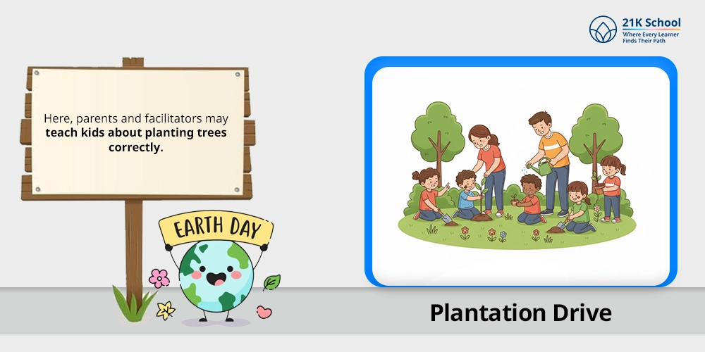 Plantation Drive