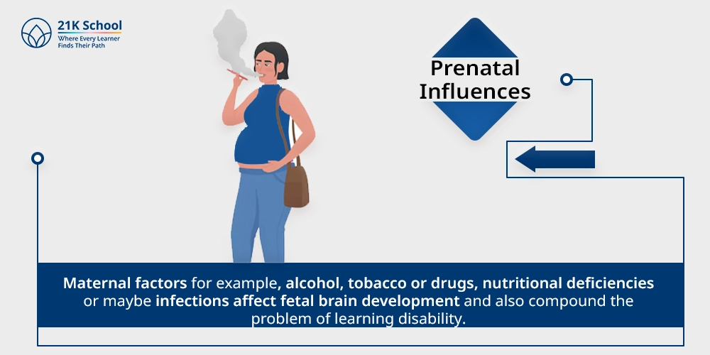 3. Prenatal Influences