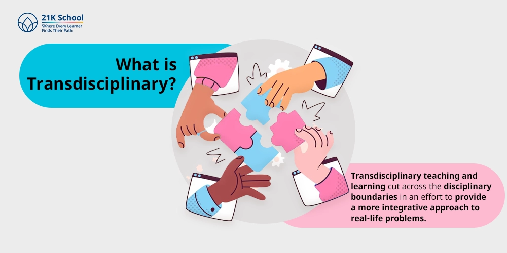 What is Transdisciplinary