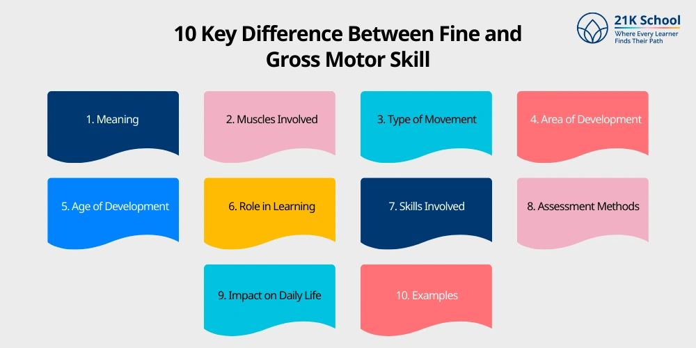 10 Key Difference Between Fine and Gross Motor Skill