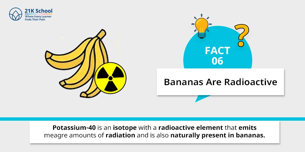 6. Bananas Are Radioactive