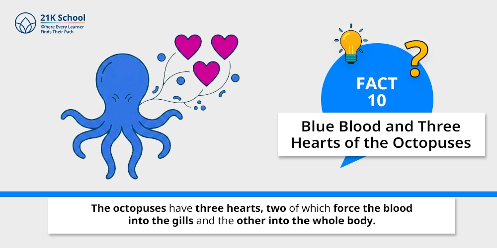 10. Blue Blood and Three Hearts of the Octopuses
