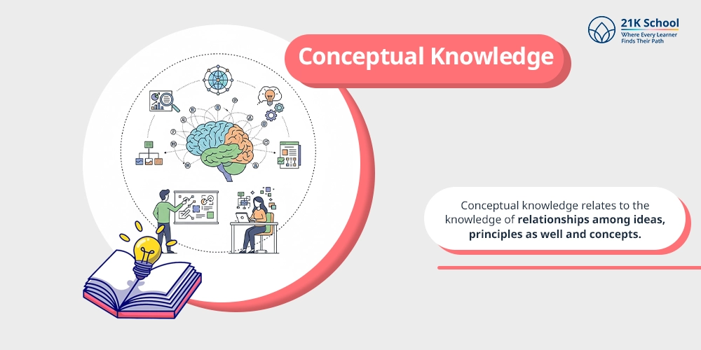 Conceptual Knowledge