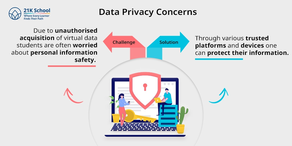 3. Data Privacy Concerns