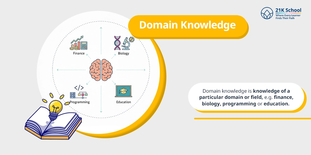 Domain Knowledge