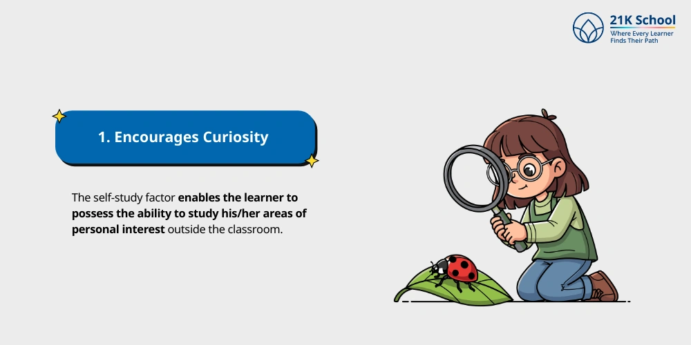 Encourages Curiosity