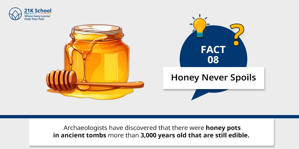 8. Honey Never Spoils