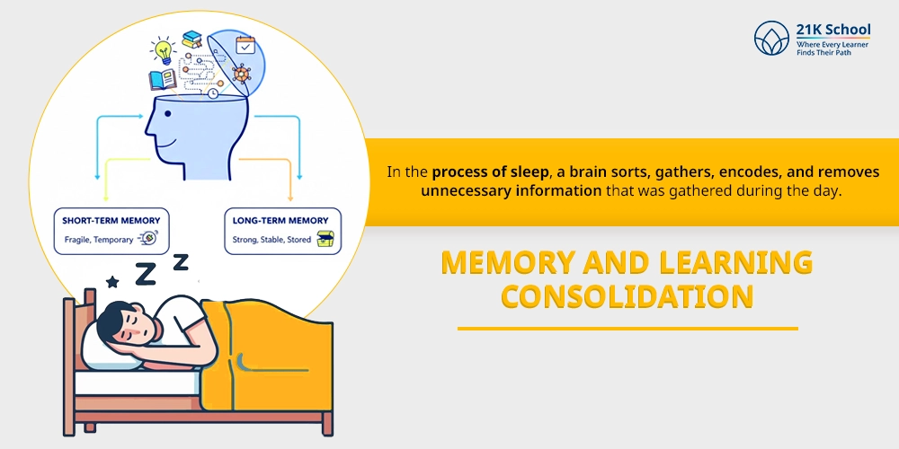 Memory and Learning Consolidation