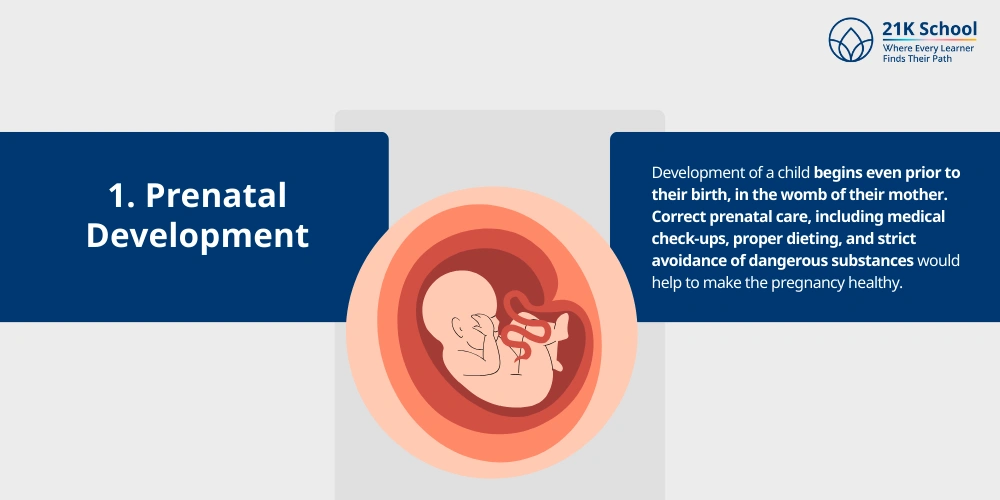 Prenatal Development