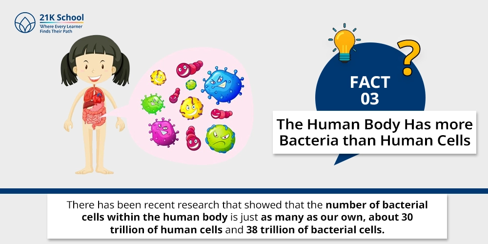 3. The Human Body Has more Bacteria than Human Cells