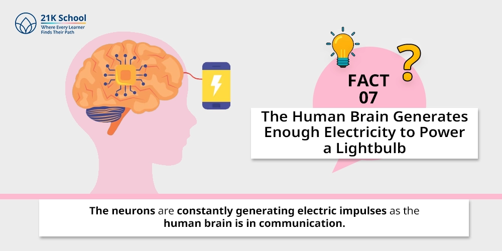 7. The Human Brain Generates Enough Electricity to Power a Lightbulb