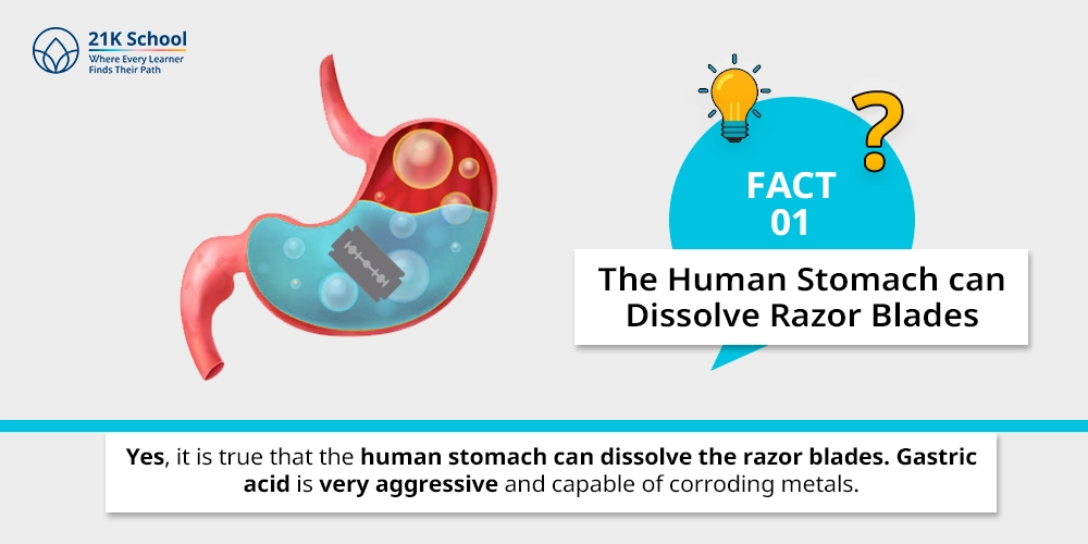 1. The Human Stomach Can Dissolve Razor Blades