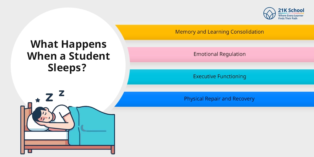 What Happens When a Student Sleeps