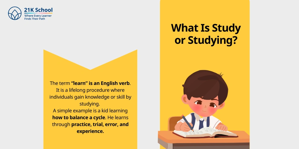 What Is Study or Studying