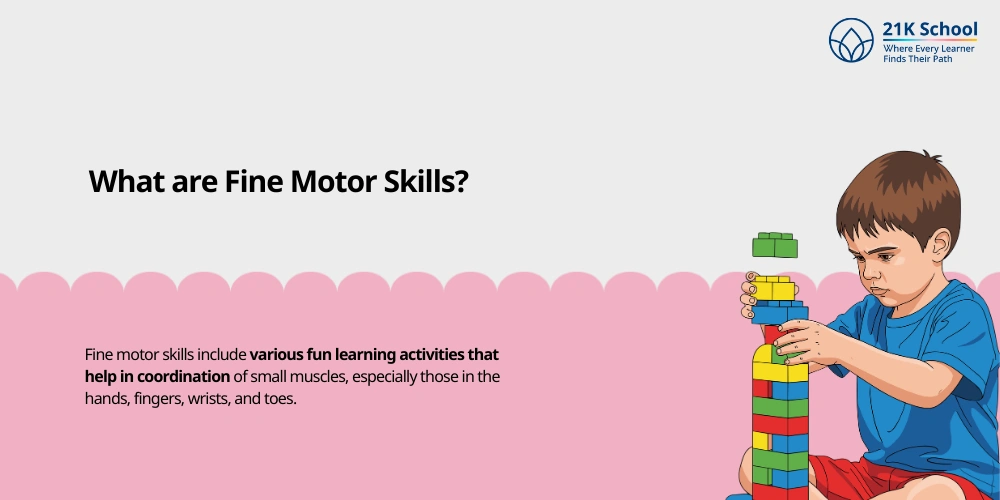 What are Fine Motor Skills?