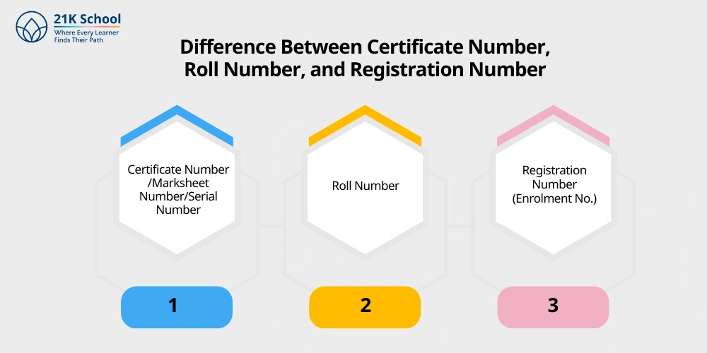 Difference Between Certificate Number, Roll Number, and Registration Number
