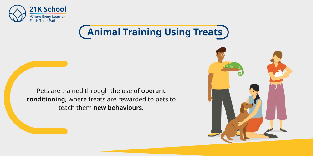 5. Animal Training Using Treats