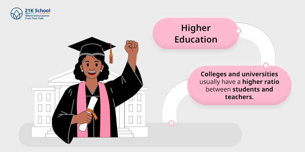 Higher Education