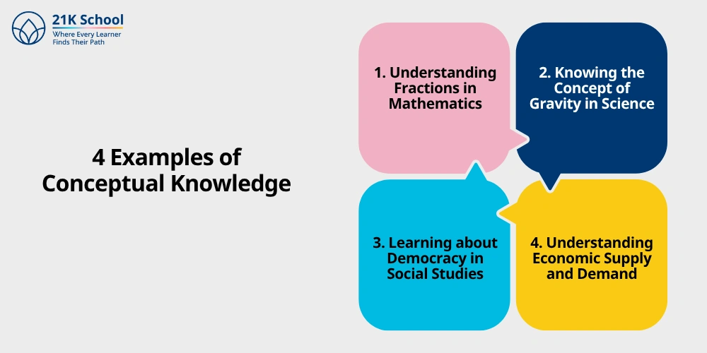 4 Examples of Conceptual Knowledge