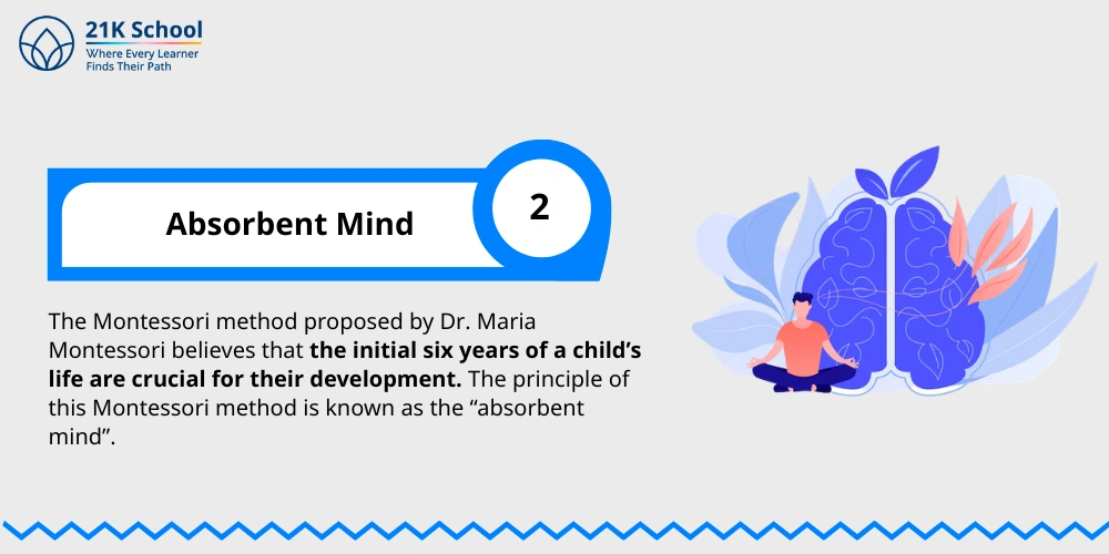 Absorbent Mind