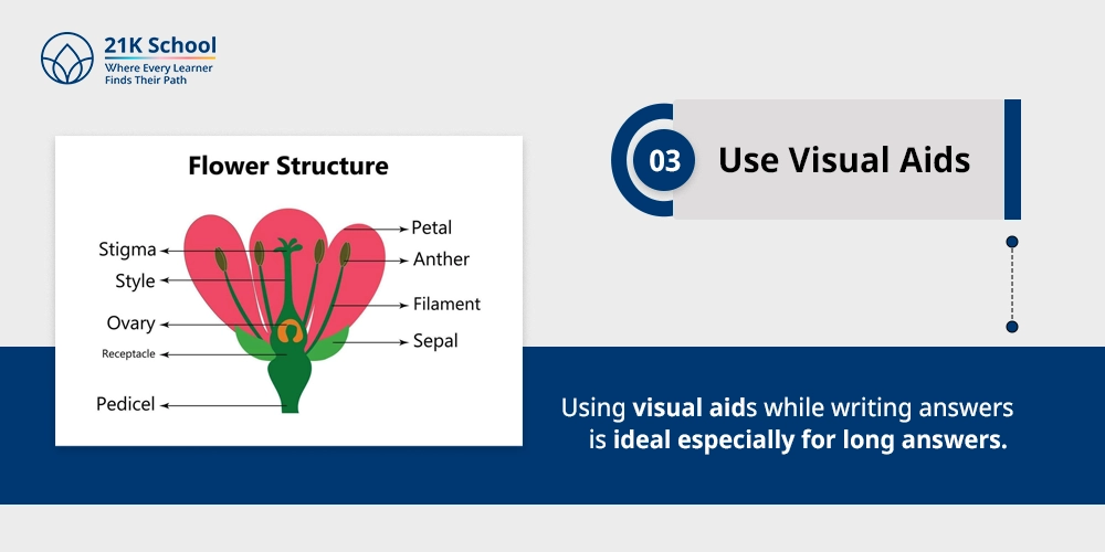 3. Use Visual Aids