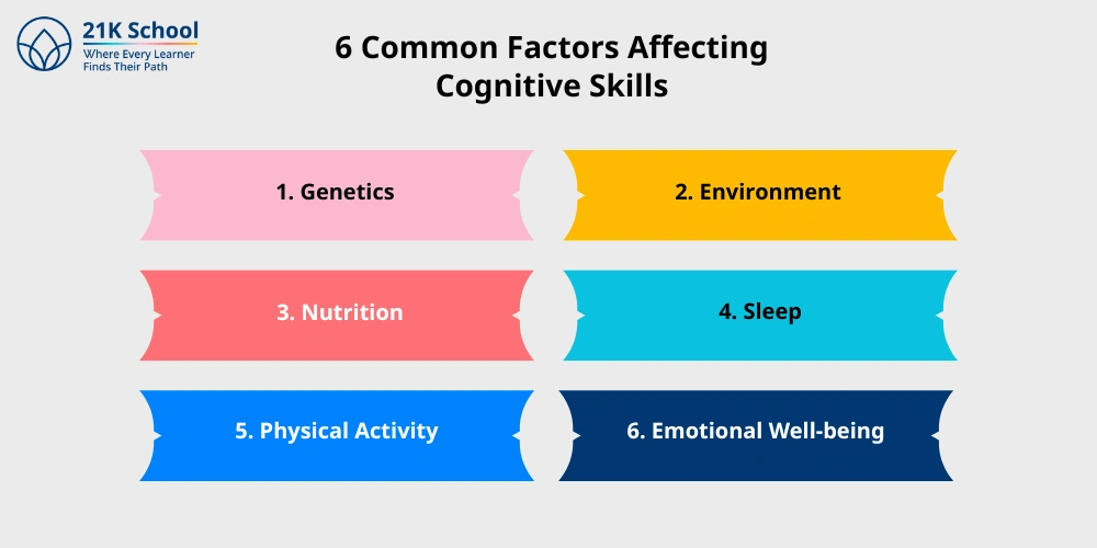 6 Common Factors Affecting Cognitive Skills
