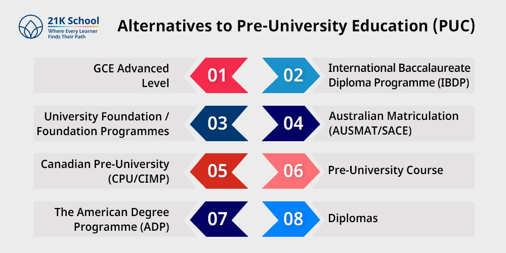 Alternatives to Pre-University Education (PUC)