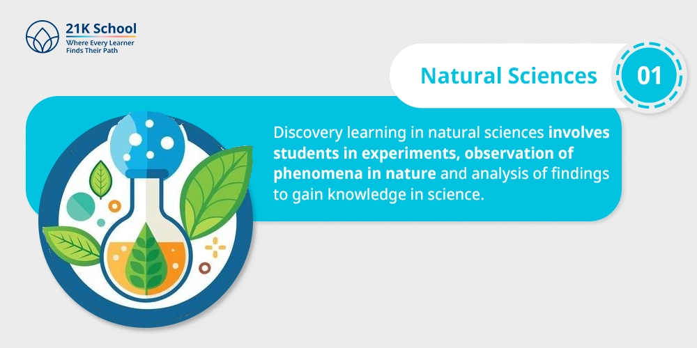 Natural Sciences