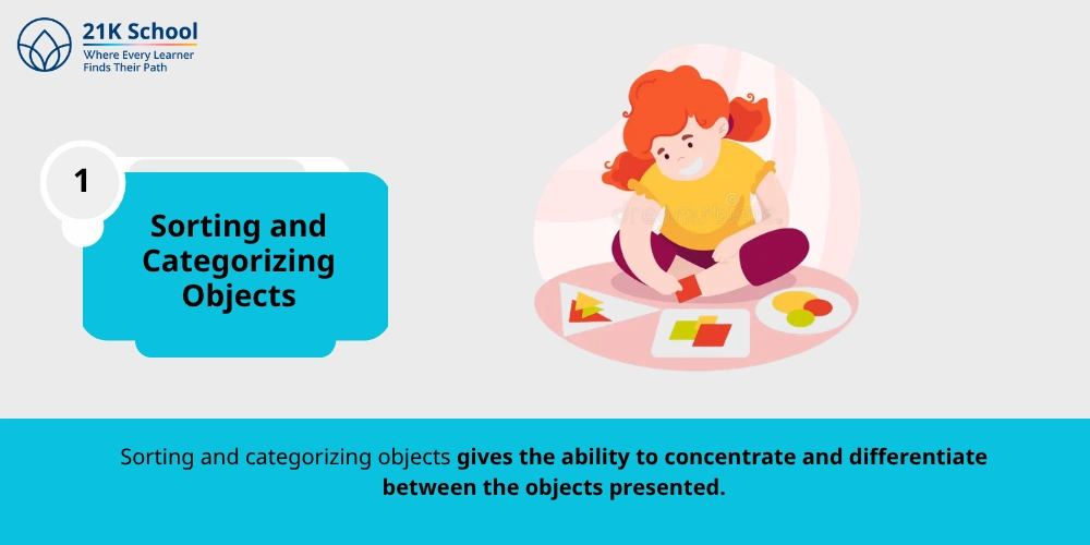 Sorting and Categorizing Objects