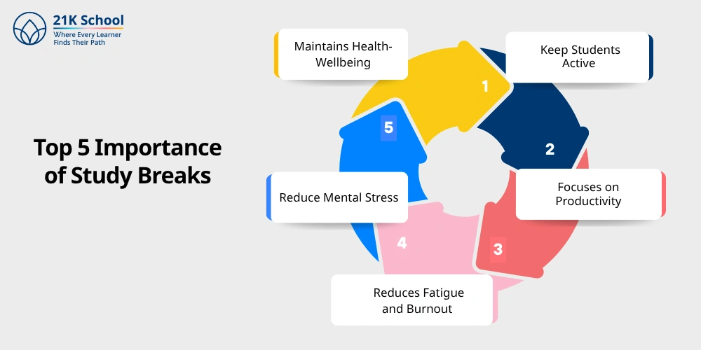 Top 5 Importance of Study Breaks