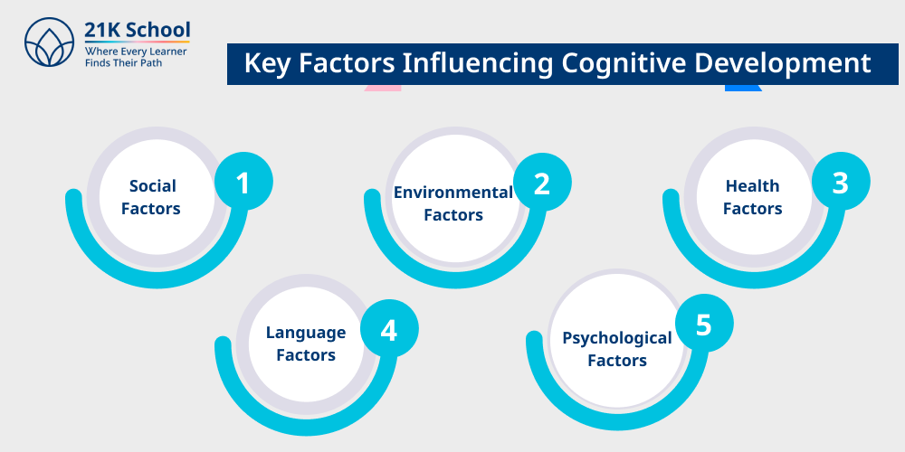 Key Factors Influencing Cognitive Development