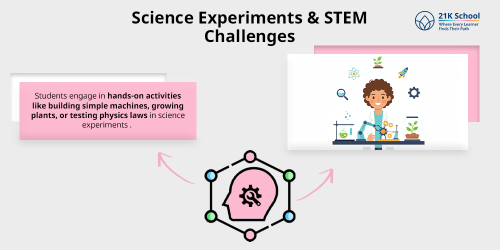 Science Experiments & STEM Challenges